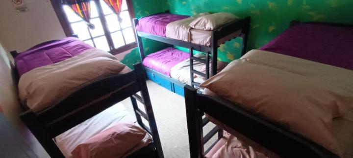 Hostel Cruz Del Sur Ushuaia Ngoại thất bức ảnh